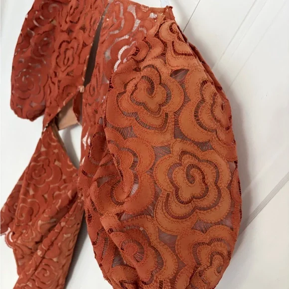 For Love And Lemons Floral Lace Mini Dress in Brown - Picture 12 of 13